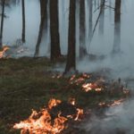 Anhaltende Hitze erhöht Waldbrandrisiko in Oberbayern und Starnberg