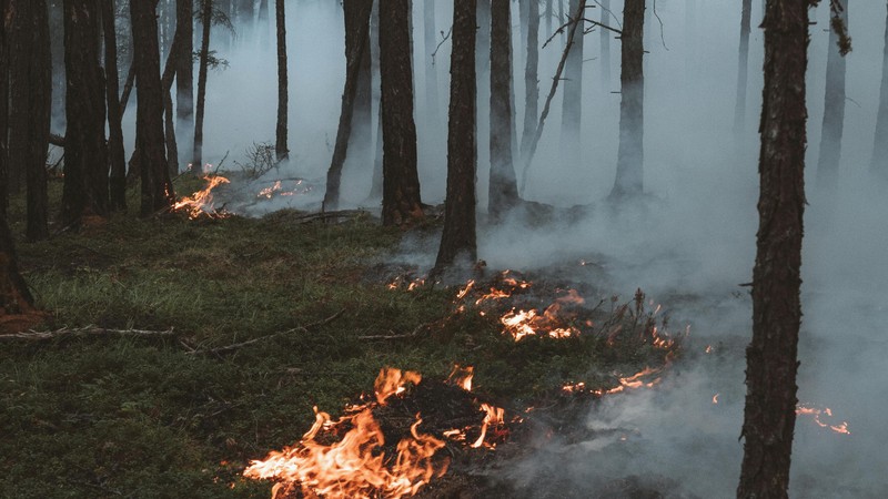 Anhaltende Hitze erhöht Waldbrandrisiko in Oberbayern und Starnberg