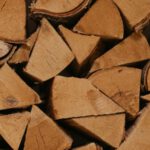 Forstamt bietet frisches Brennholz aus dem Revier Landsberg an