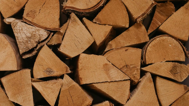 Forstamt bietet frisches Brennholz aus dem Revier Landsberg an Forstamt bietet frisches Brennholz aus dem Revier Landsberg an