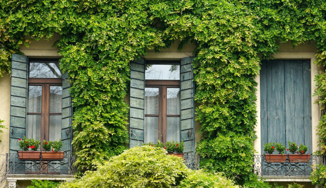 Großes Grün auf kleinem Raum: So gelingt die Gartengestaltung im kleinen Stil